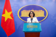Vietnam always respects freedom of navigation, overflight in East Sea: Foreign Ministry